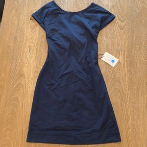 Theory Dress